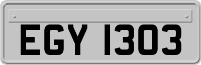 EGY1303