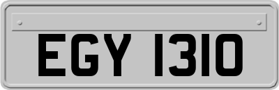 EGY1310