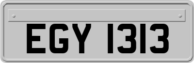 EGY1313