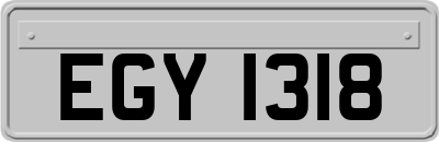 EGY1318
