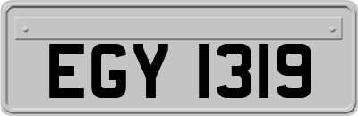 EGY1319
