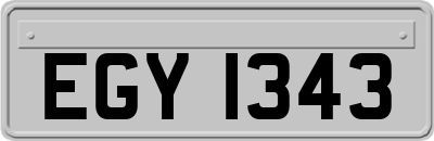 EGY1343