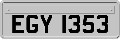 EGY1353