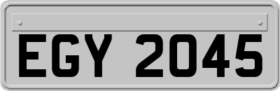 EGY2045