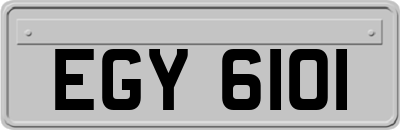 EGY6101