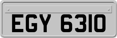 EGY6310