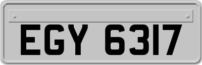 EGY6317