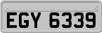 EGY6339