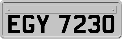 EGY7230
