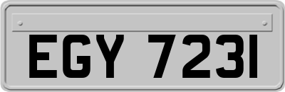 EGY7231