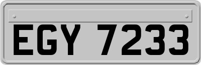 EGY7233