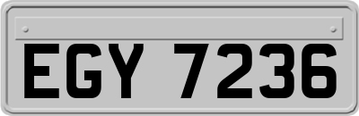 EGY7236