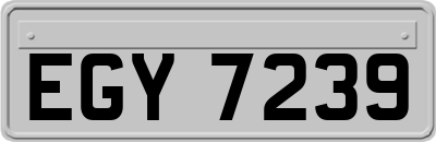 EGY7239