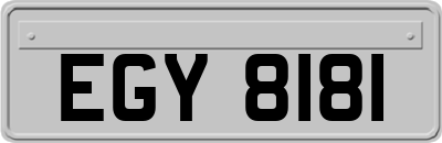 EGY8181