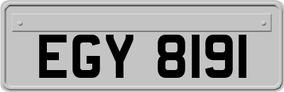 EGY8191