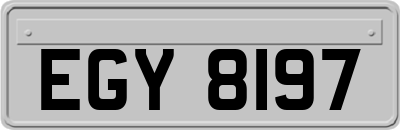 EGY8197