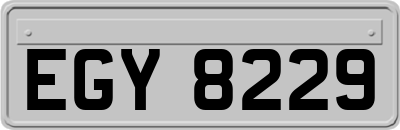 EGY8229