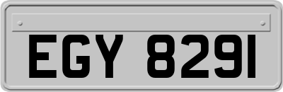 EGY8291