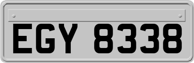 EGY8338