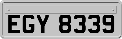 EGY8339