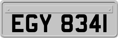 EGY8341