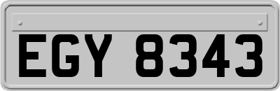 EGY8343
