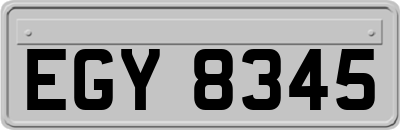 EGY8345