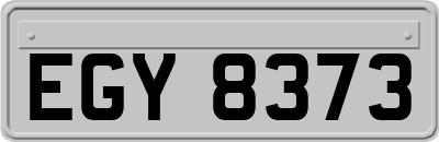 EGY8373