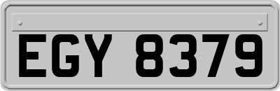 EGY8379