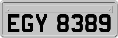 EGY8389
