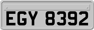 EGY8392