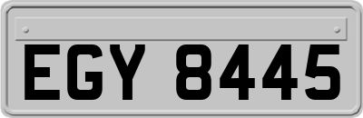 EGY8445