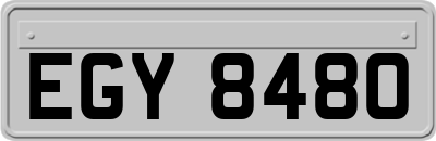 EGY8480