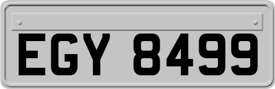 EGY8499