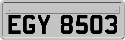 EGY8503