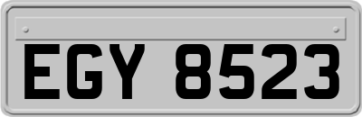 EGY8523