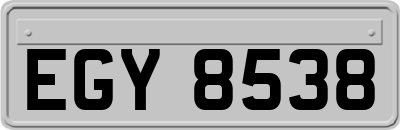 EGY8538