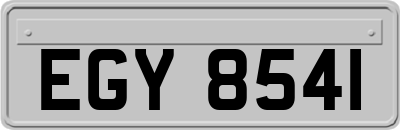 EGY8541