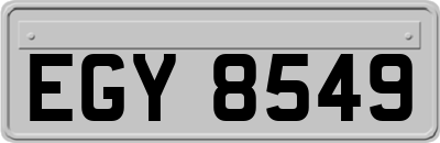 EGY8549