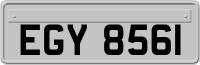 EGY8561