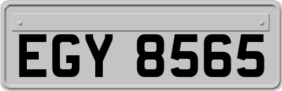 EGY8565