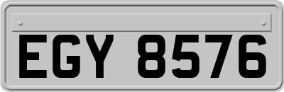 EGY8576