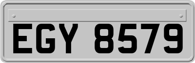 EGY8579