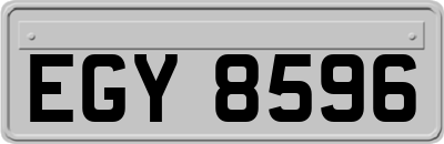 EGY8596