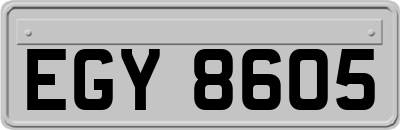 EGY8605