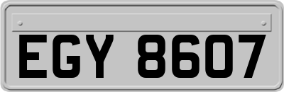 EGY8607