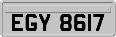 EGY8617