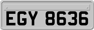 EGY8636