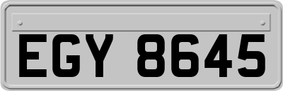 EGY8645
