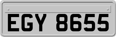 EGY8655